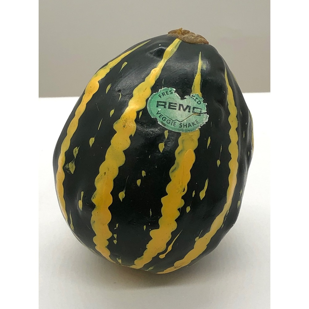 Remo Veggie Shake Hand Percussion Gourd Style Shaker Green Yellow Striped - Picture 10 of 11